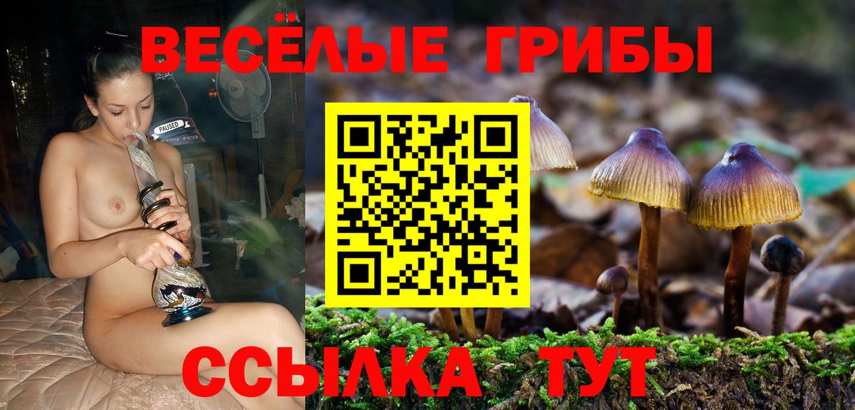Северск  Галлюциногенные грибы мухоморы  Вход с VPN 