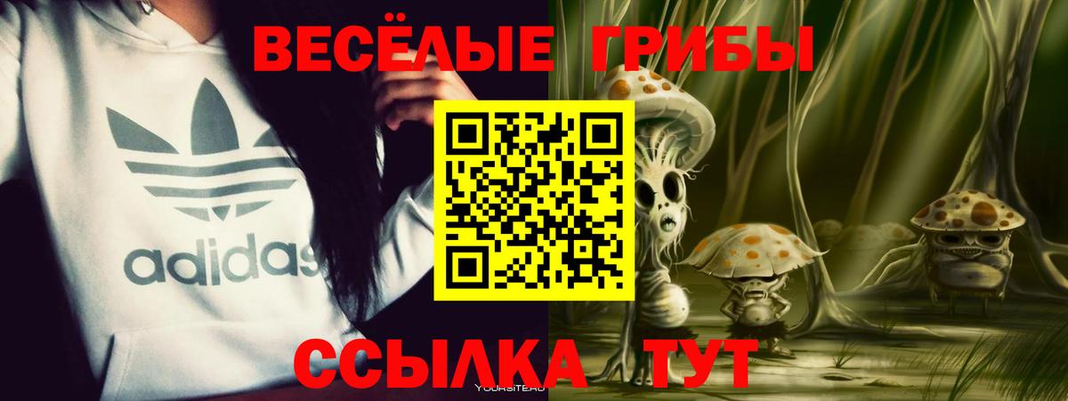 Псилоцибиновые грибы мицелий Северск